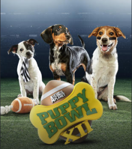 puppy bowl