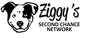 ziggys