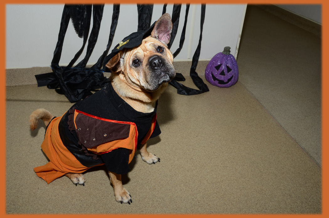 gemma-halloween-7