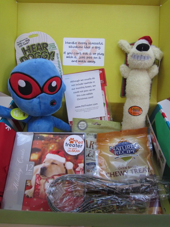 pet treater box