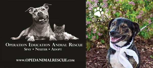 Animal Rescue Spotlight of the Month Operation Education