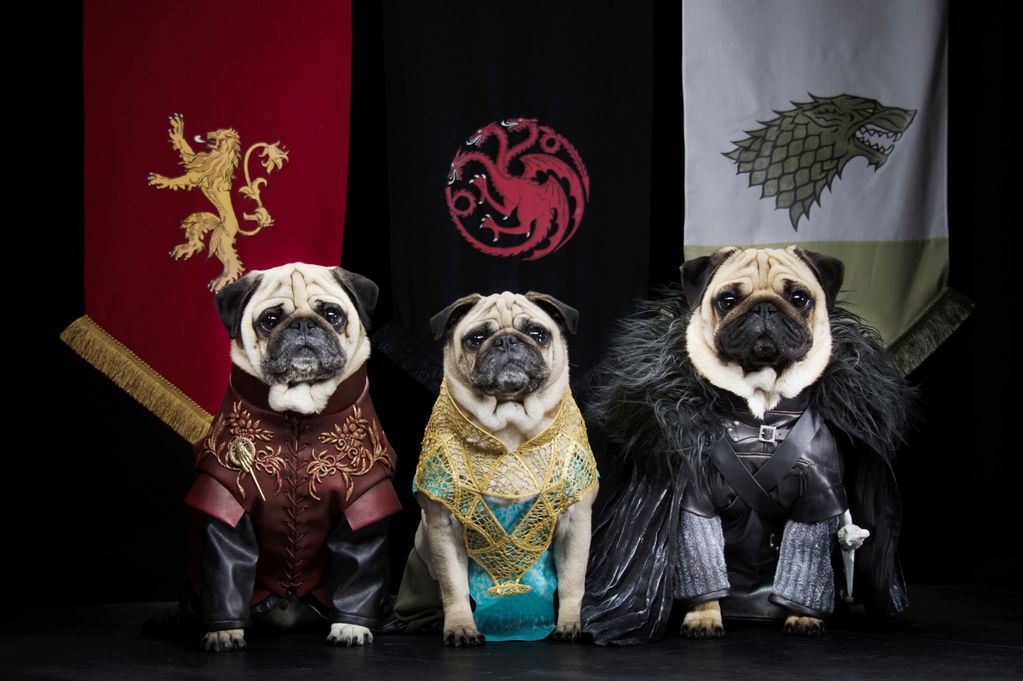 game of thrones stuffed animals