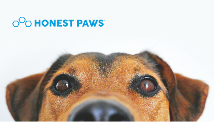 The #1 Rated CBD Oil and Treats For Dogs, Honest Paws